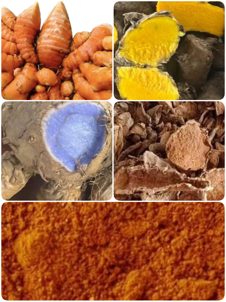 Turmeric