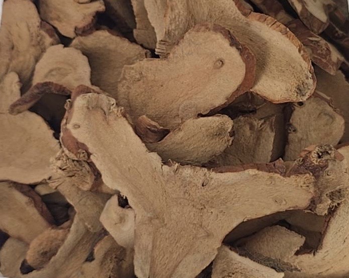 Galangal