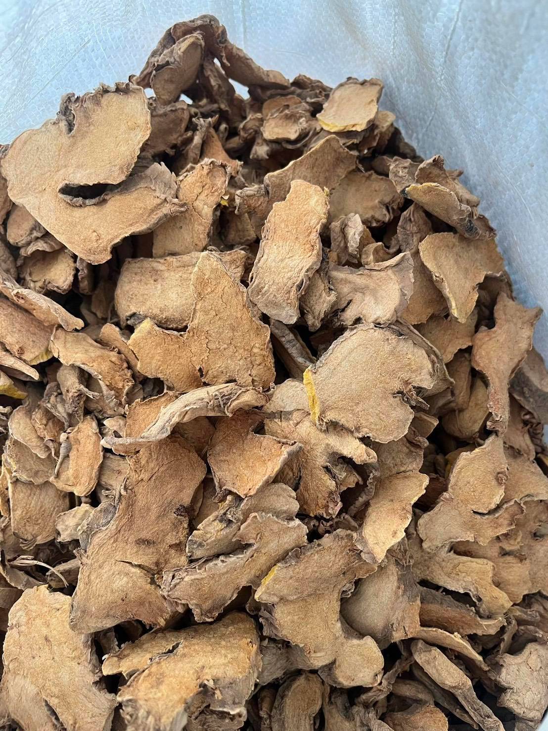 Phlai, Bengal root