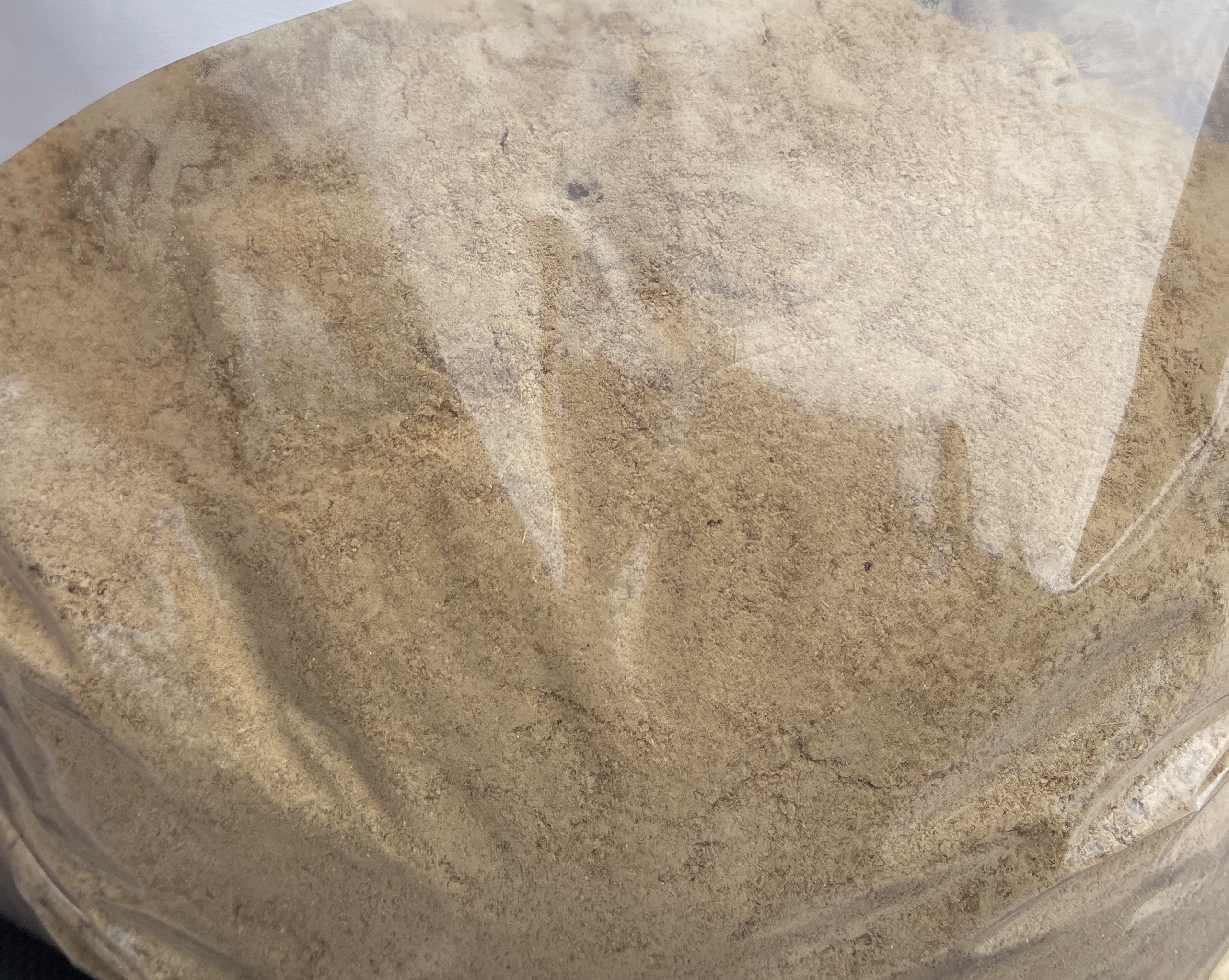 Ginger powder
