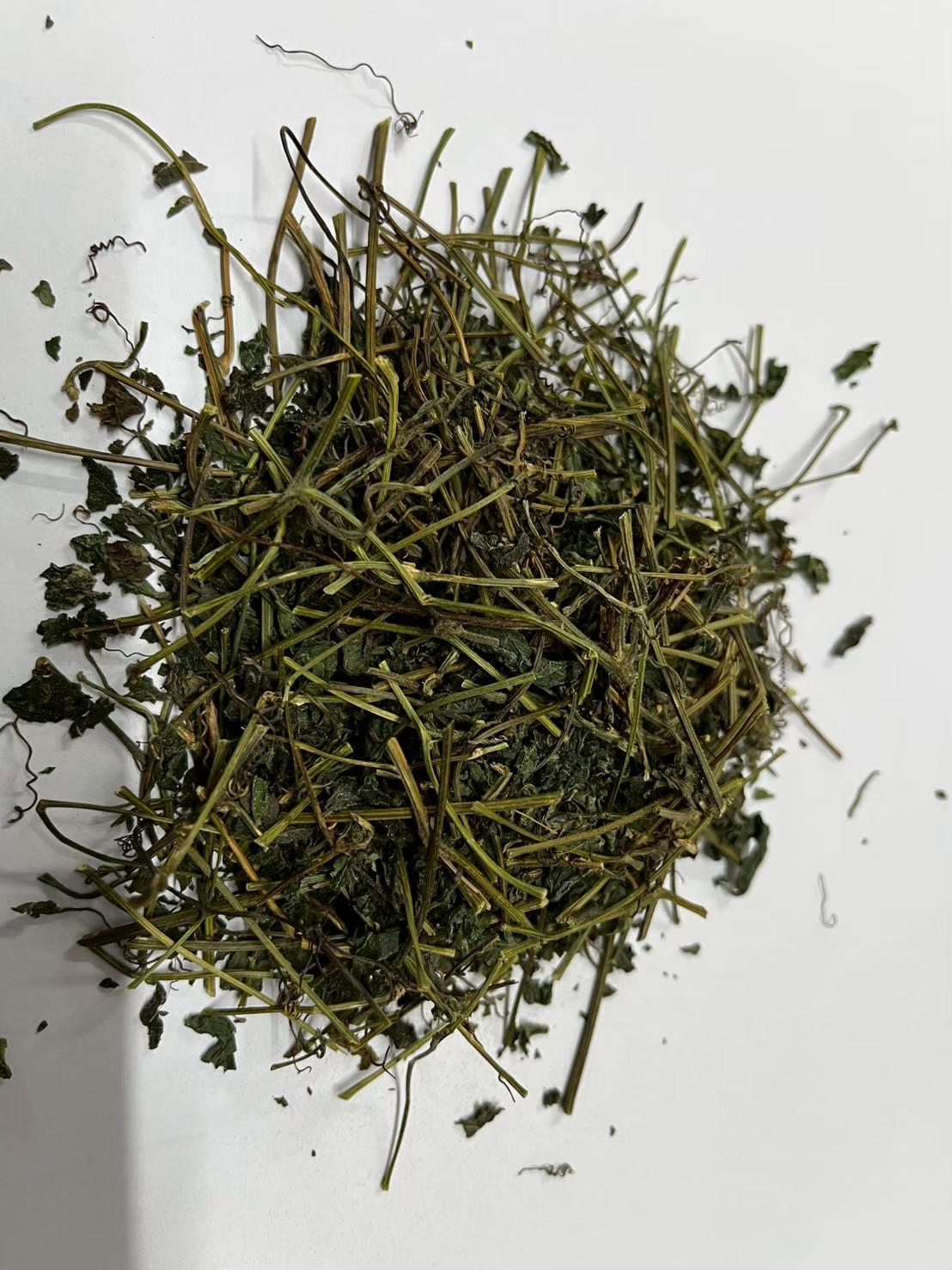 Gynostemma pentaphyllum (Jiaogulan)