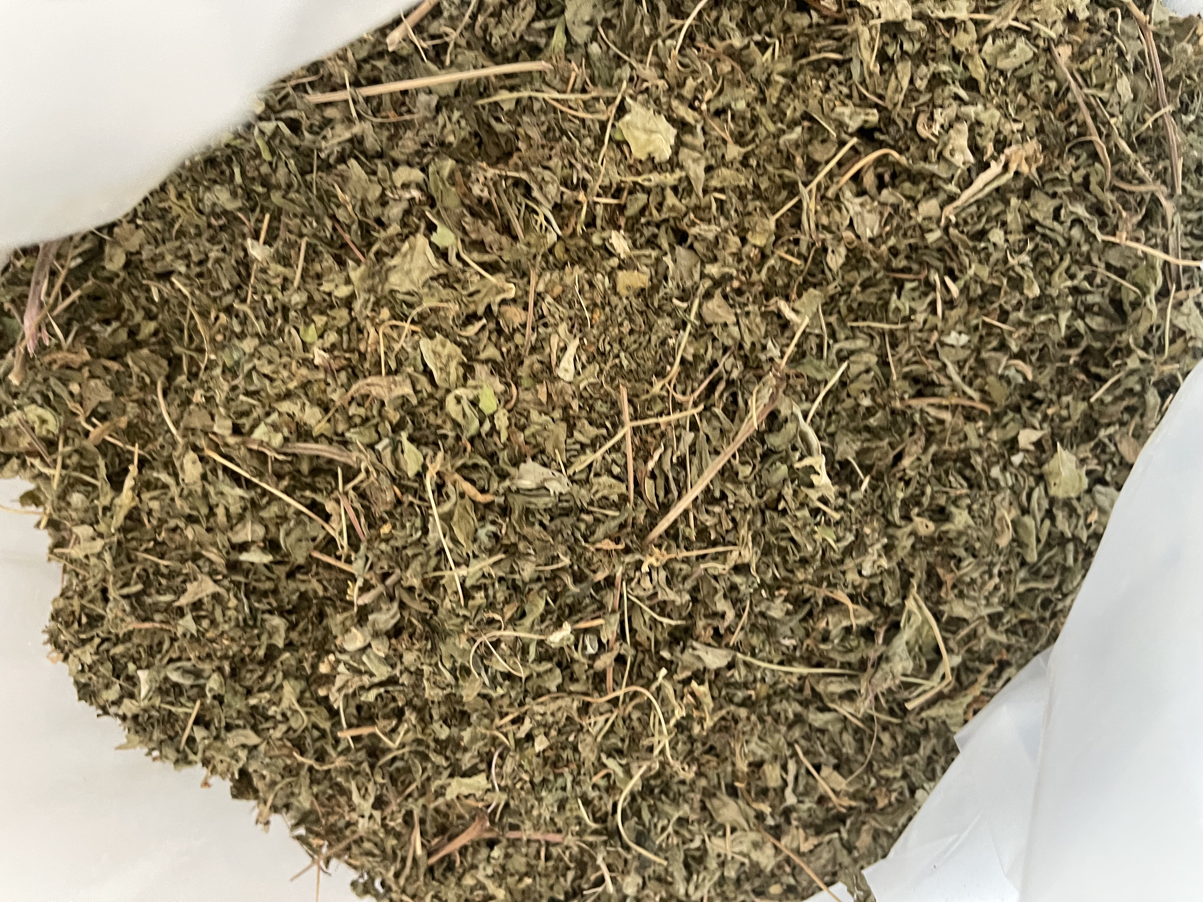 Cleome gynandra (Bustard Mustard)